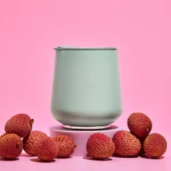 Fellow Ruby Wine Tumbler Mint Chip termosmuki – 354 ml, minttu