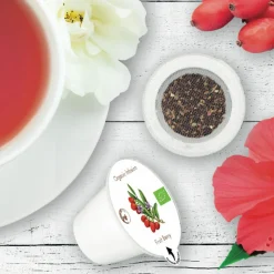 Luomuteekapselit Nespresso®-koneisiin Bistro Tea Fruit Berry, 10 kpl.
